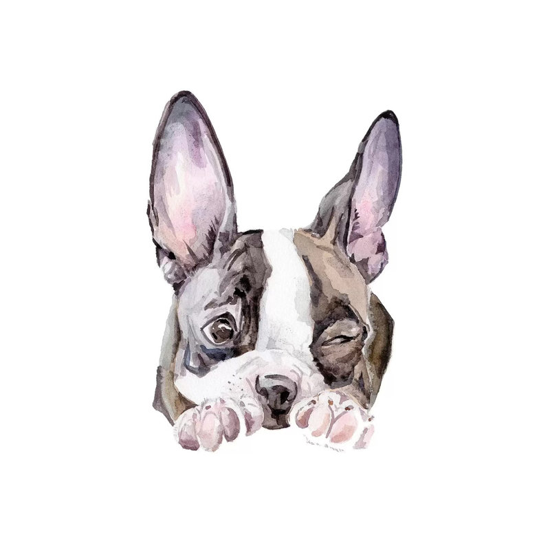 Winking Boston Terrier by Wandering Laur - Wrapped Canvas Painting, 45.72 cm H x 45.72 cm W x 3.175 cm D