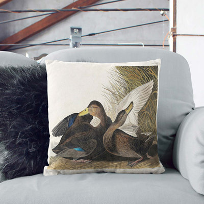 Dusky Duck Square Throw Cushion