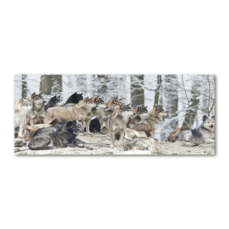 Wolves In The Winter - No Frame Print on Canvas