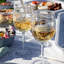 Isabella 14 oz. Acrylic Wine Glass