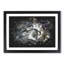 Cat Licking its Paw - Picture Frame Graphic Art Print-56917427-56917443