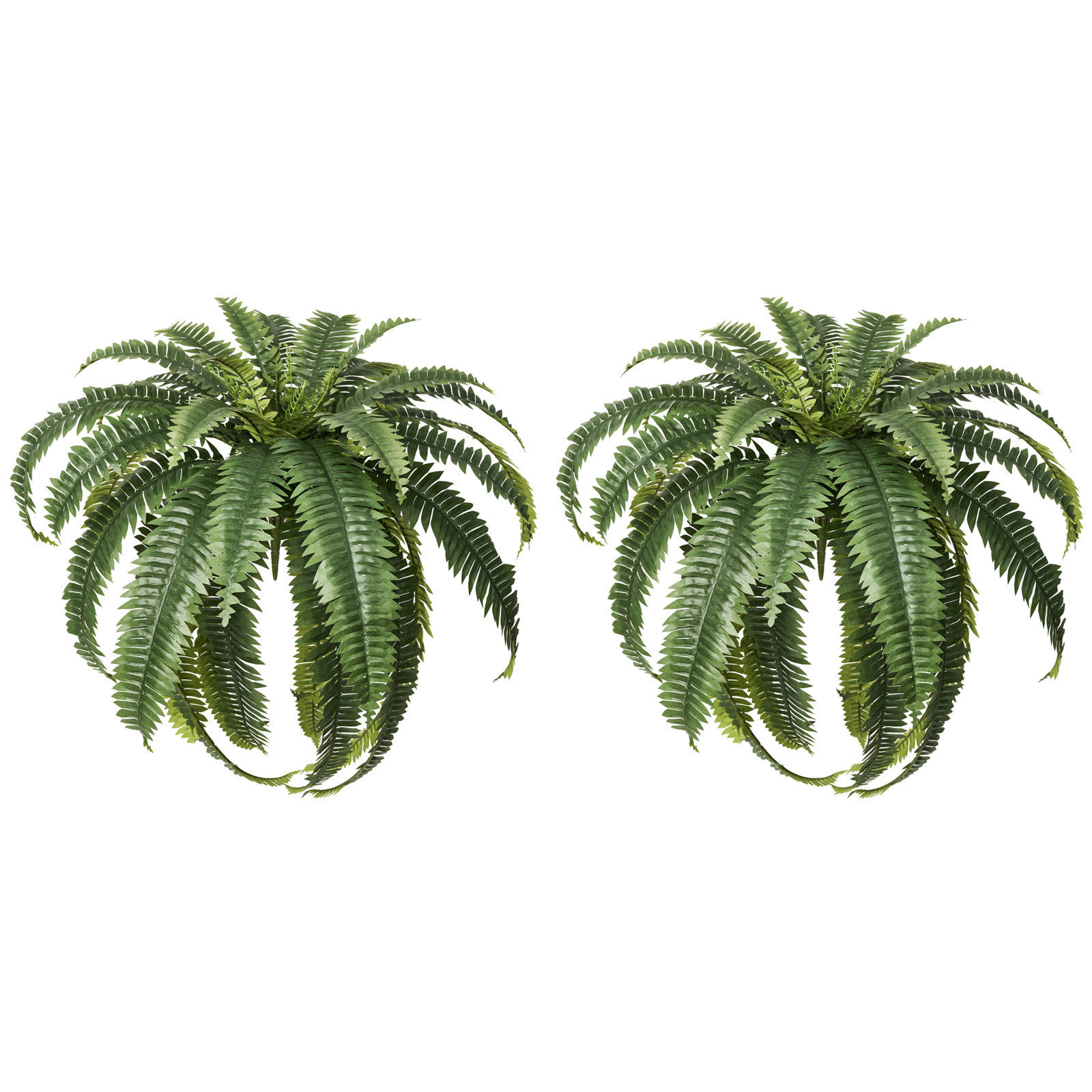 Adcock 39" Fern Plant, 2