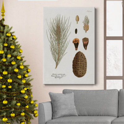 " Botanical Pine " Painting Print