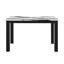 D8032 - Ensemble table de panda et chaises noires (4)