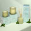 Wild Honeysuckle Classic Reed Diffuser-757888054-757888052