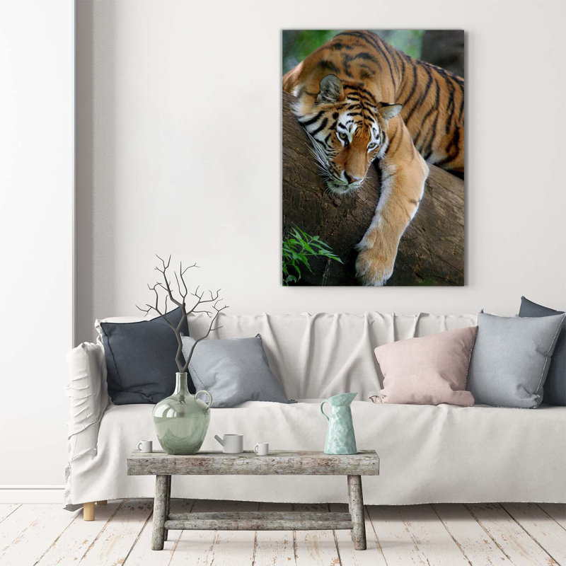 Tiger On The Tree - Wrapped Canvas Print