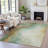 Machine Washable Indoor/Outdoor Xhevrie Aloe Rug-111820103