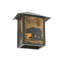 1 - Light Flush Mounted Sconce
