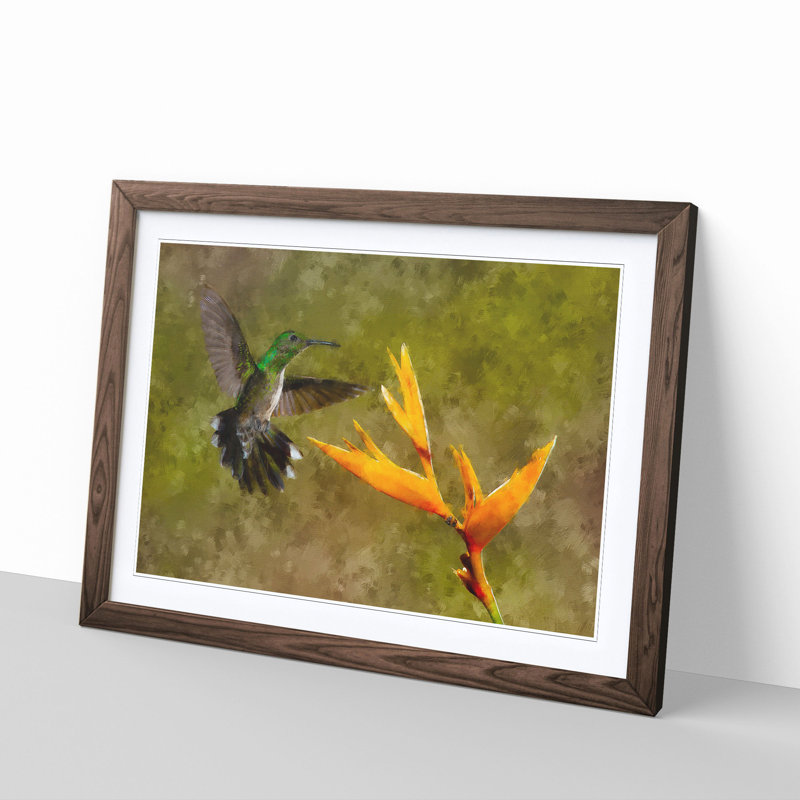 Hummingbird by a Flower - Picture Frame Painting Print, Walnut Framed, 33cm H x 45cm W x 2cm D