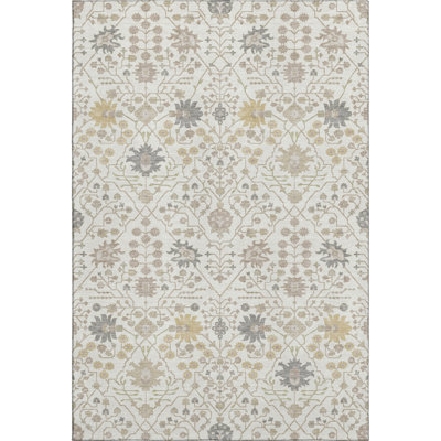 Premium Machine Washable Colmenero AMF1009 Oriental Rug