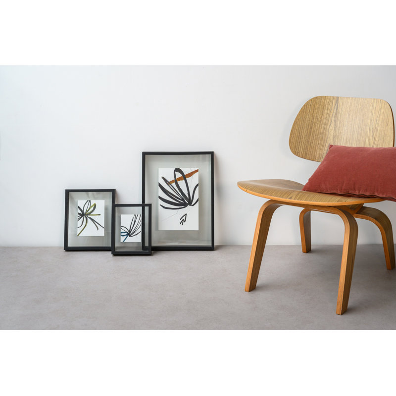 Luiz Wood Floater Picture Frame, 12" x 16", Black