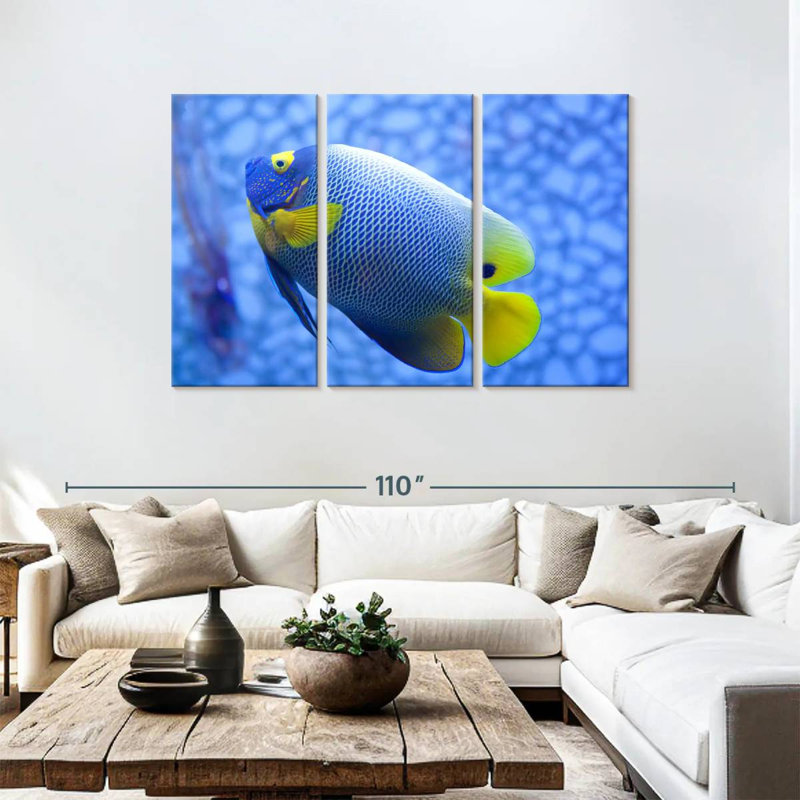 Angelfish bleu corail Brampt, H 48 po x l 74 po
