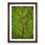 Leaf Lines - Framed Print-56852661-56852662