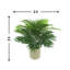 Palmier artificiel en pot 16 po Areca-33390917