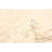 Sienna Beige Rug 5'0" x 7'10"