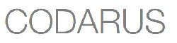 Case & Canvas logo