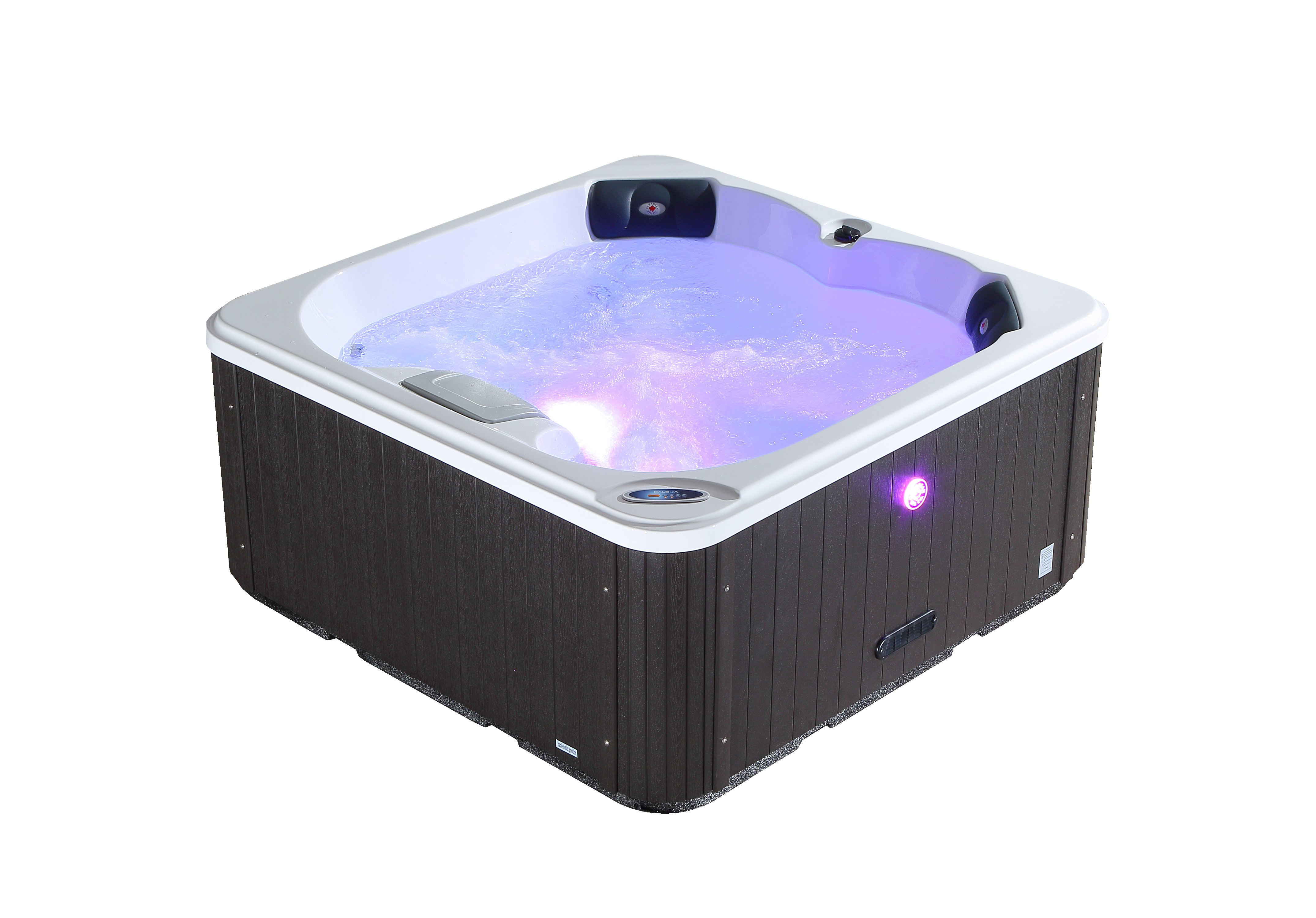 Canadian Spa Co Saskatoon 120 Volt 4 Person Person 12 Jet Acrylic