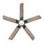 Morris 52'' Ceiling Fan with LED Lights