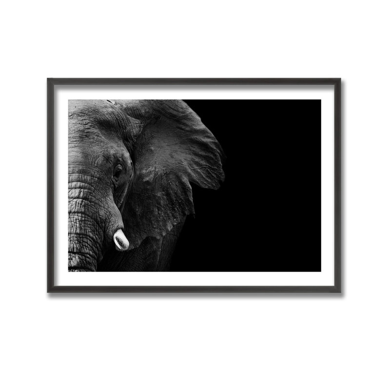 Nature Inspired Elephant by  - Picture Frame Photograph on Paper, 16" H x 24" W