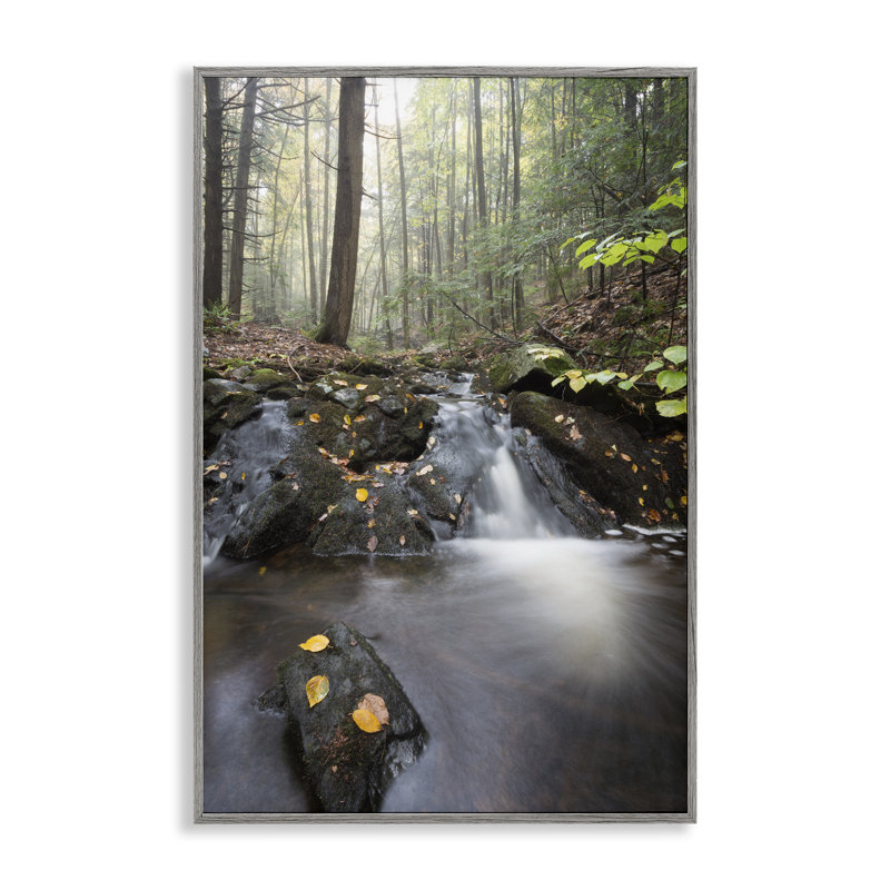 «Misty Stream Adirondacks», dessin de James Rodewald, Estampe numérique Farmhouse, H 18 po x l 12 po