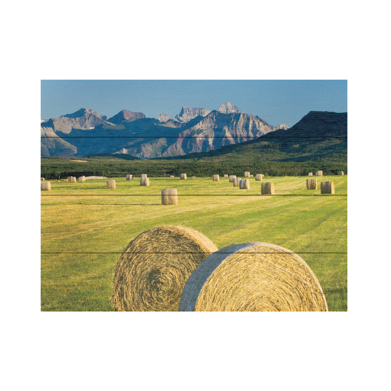 «Waterton Hay Bales» par Alan Majchrowicz, L 16 po x H 12 po