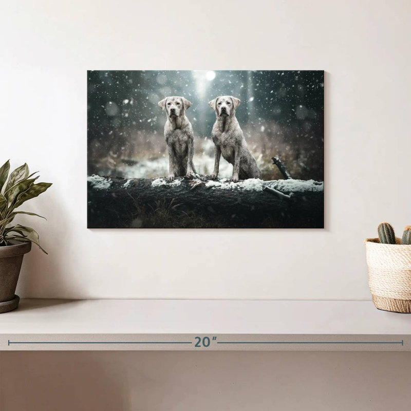 Brampt Muddy Labrador Dogs
