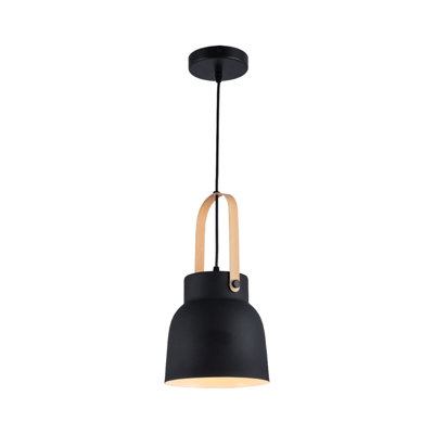 Luminaire suspendu en forme de dôme à 1 lumière Gordon