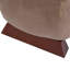 Chaise d'appoint moderne et élégante avec espace de rangement pour animaux de compagnie, chaise longue, pour salon, chambre à coucher, balcon-132922090
