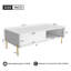 Table basse Mid-Century moderne avec tiroirs doubles-1924070325