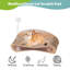 Lit à griffer réversible en carton 2-en-1 avec chaise à griffes et ressort, conception courbée pour chats d'intérieur