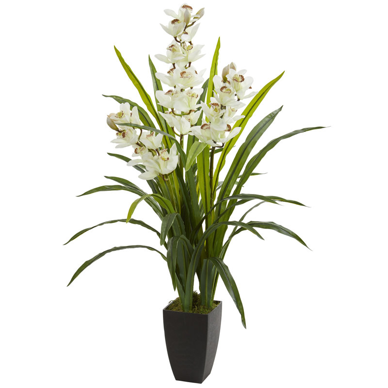 Orchids Arrangement in Planter, 45" H x 14" W x 14" D