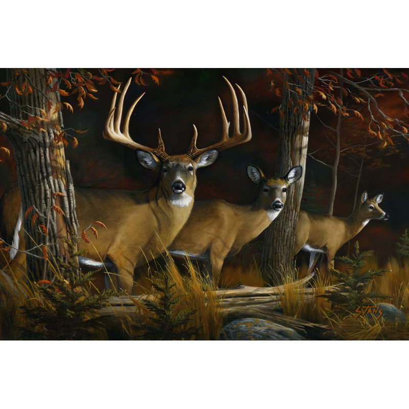The Legend by Leo Stans - Wrapped Canvas Art Prints, 30cm H x 46cm W