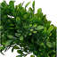 Couronne de verdure S / 2 pour décoration murale de fenêtre de mariage