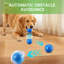 2pcs Rechargeable Interactive Pet Ball Toys with LED Lights
