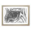 The Eye of a Zebra in Abstract - Picture Frame Graphic Art Print-55737640-55737641