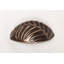 2.13 Center to Center Cup Pull-14973030