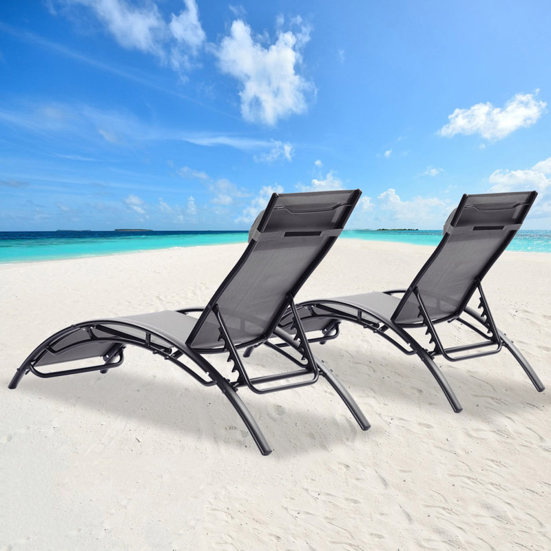 Ensemble de 2 chaises longues d'extérieur inclinables, Gris