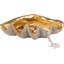Deco Bowl Noble Shell