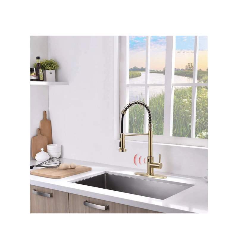 AvaMalis Pull Down Kitchen Faucet, Gold