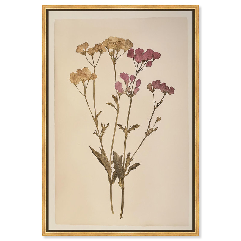 Dried Flower Canvas Floral Illustrations by , Gold Frame, 16" H x 11" W