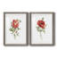 Pivoine écarlate - ensemble de 2 reproductions d'art-1707268031-1707268024-1707268016