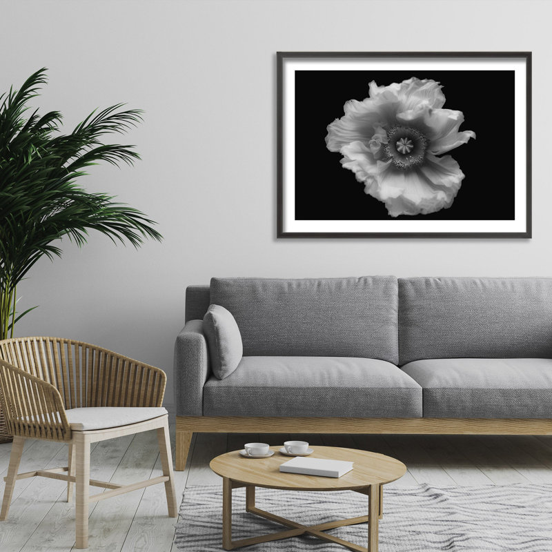 Nature Inspired Poppy in Mono by  - Picture Frame Photograph on Paper, 32" H x 48" W 