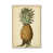 Natural Wood Framed Paper Print