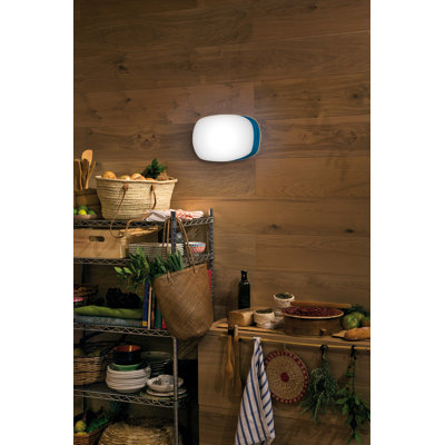 Guijarro Wall & Ceiling Sconce - Small - DIMTRIAC LED - Blue Shade