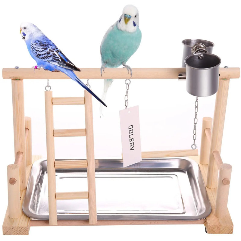 5 Bird