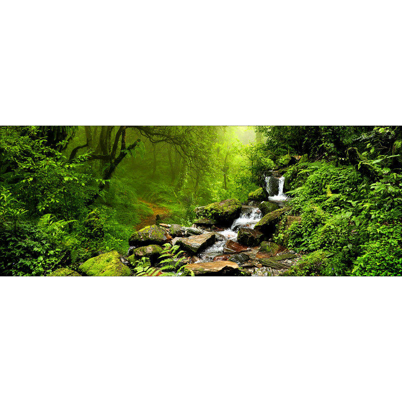 Fairy Tale Forest Graphic Art Print on Glass, 50cm H x 125cm W x 1.4cm D