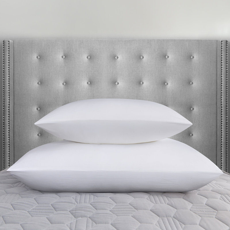 Insert de coussin en duvet blanc uni 100% coton, H 20 po x l 26 po, Blanc ferme