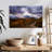 Roadside Aspen Trees-48884993