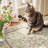 Floral Machine Washable Area Rug-167093912