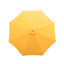 Darion Replacement Canopy